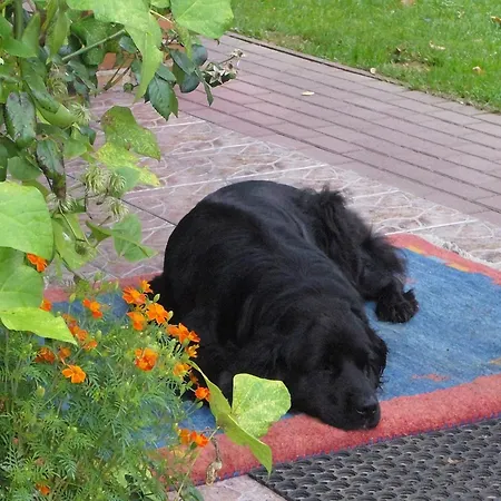 Holiday Villa With Fireplace And Private Garden 빌라 Pollnow