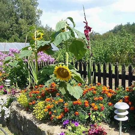 Holiday Villa With Fireplace And Private Garden * Pollnow