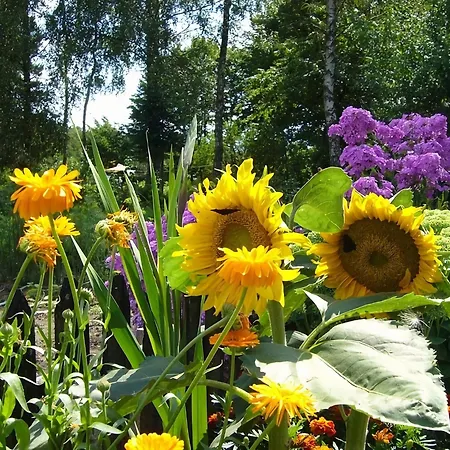 빌라 Holiday Villa With Fireplace And Private Garden *