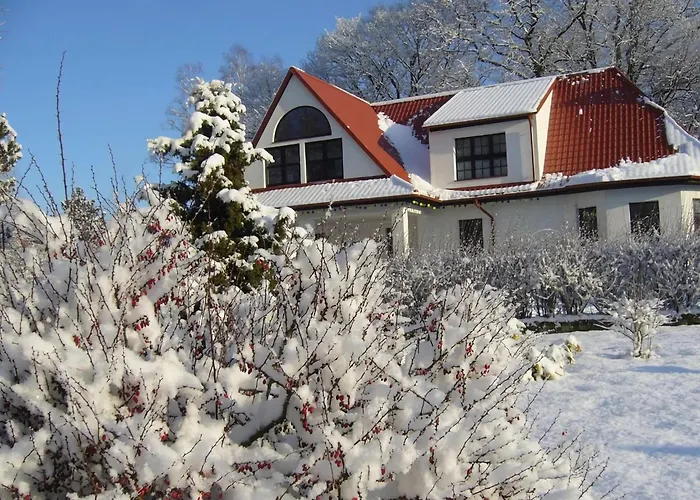 With Fireplace And Private Garden