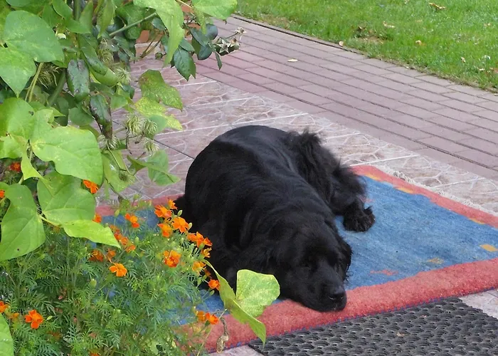 With Fireplace And Private Garden Villa Pollnow